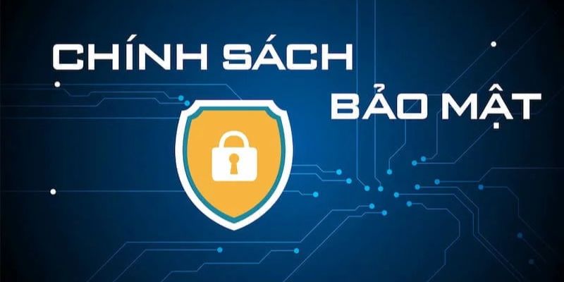 Có nội dung gì trong chính sách bảo mật của Rikvip?